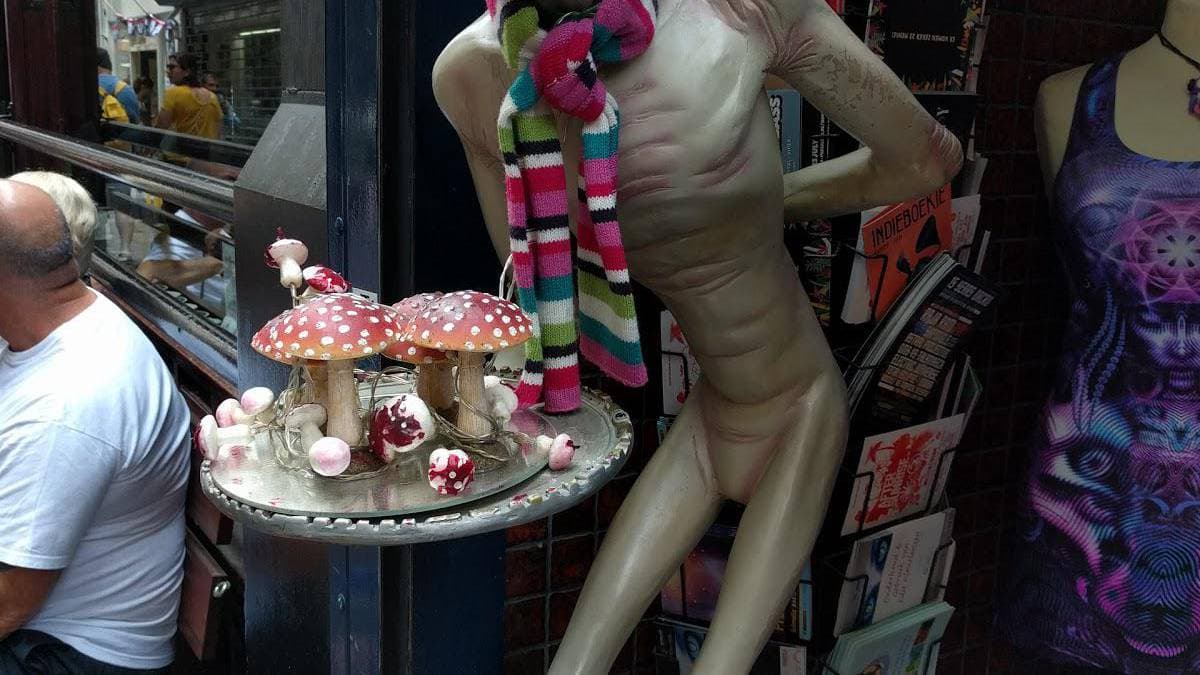 Alien Visitors - Foto 2