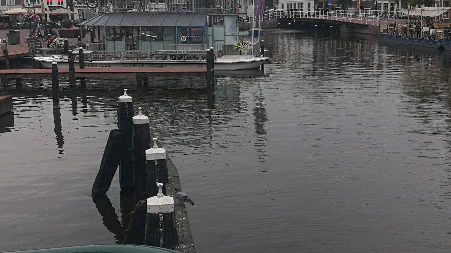 Altered State - Foto 4