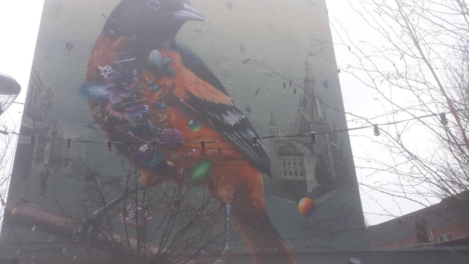 De Sjamaan Smartshop Nijmegen - Foto 2