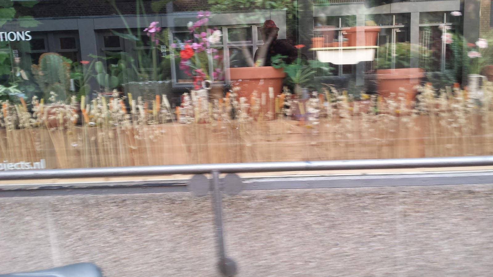 Flynhigh Smartshop Headshop Growshop - Hoofdfoto