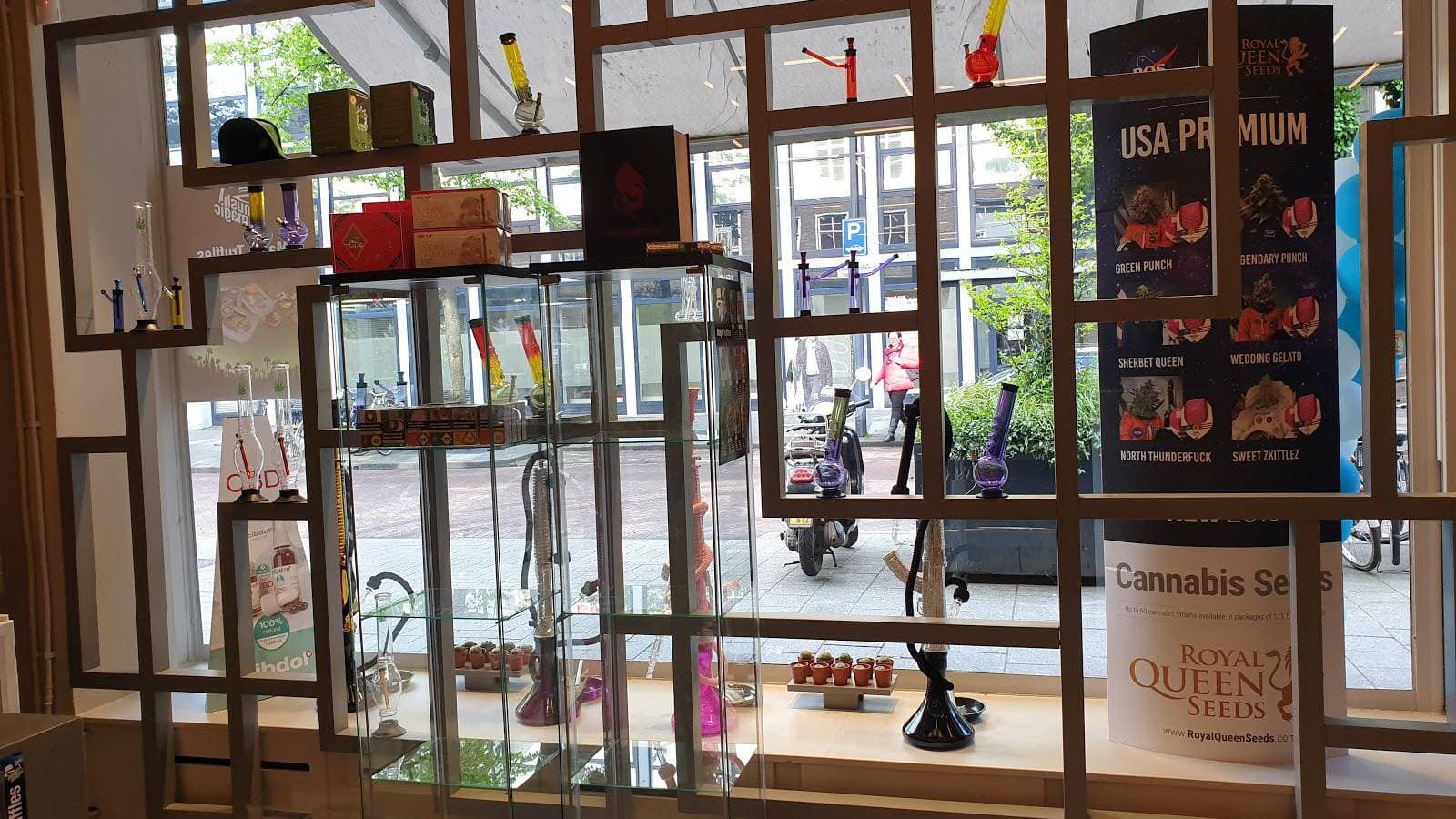 House of Smart - Foto 3