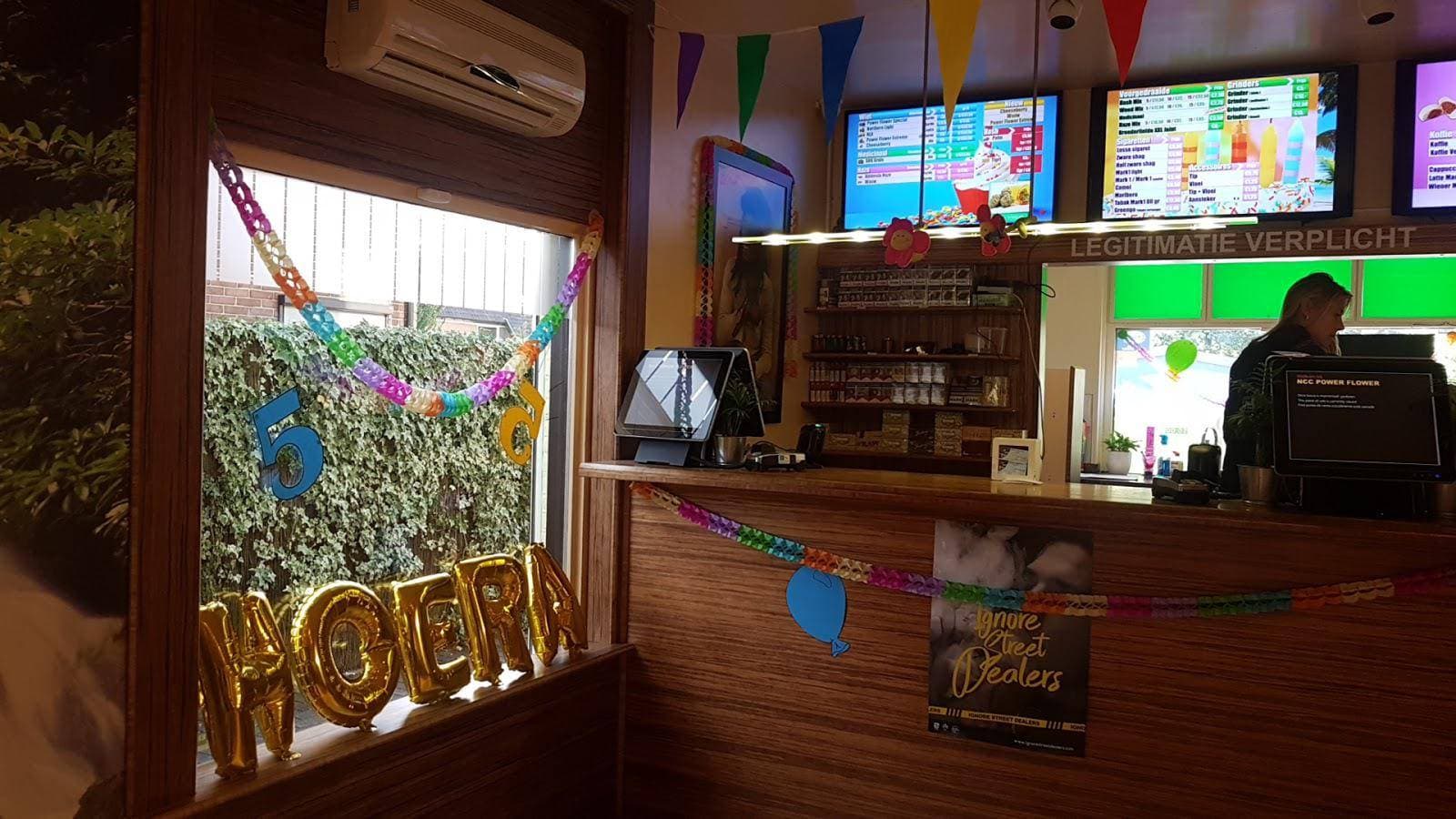 Power Flower - Foto 3