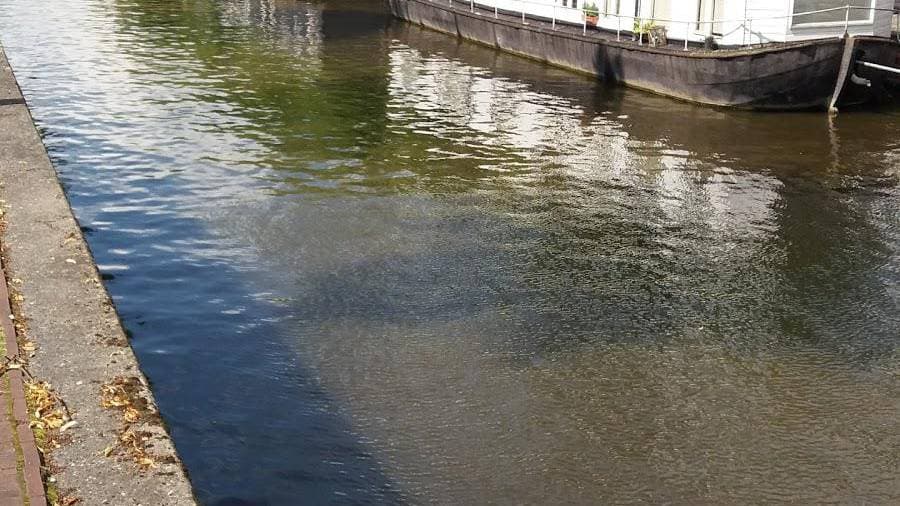 Smartshop de Hollandia - Foto 3