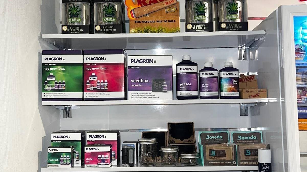 Stonedoos Zwolle - Foto 1