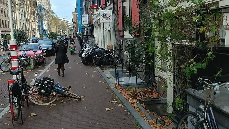 The Magic Mushroom Gallery - Foto 2