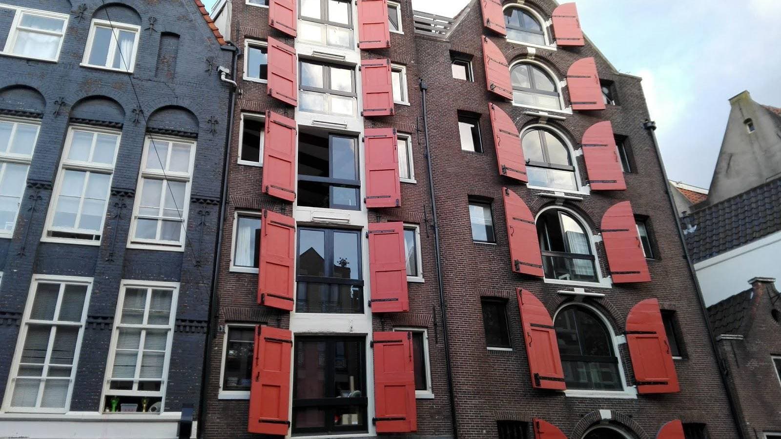 The Magic Mushroom Gallery - Foto 4