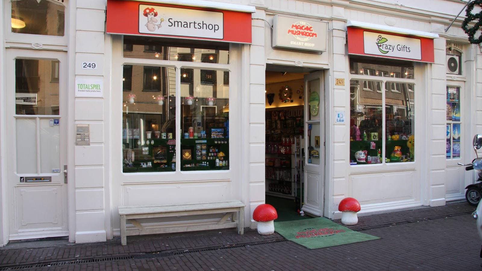 The Magic Mushroom Gallery - Hoofdfoto