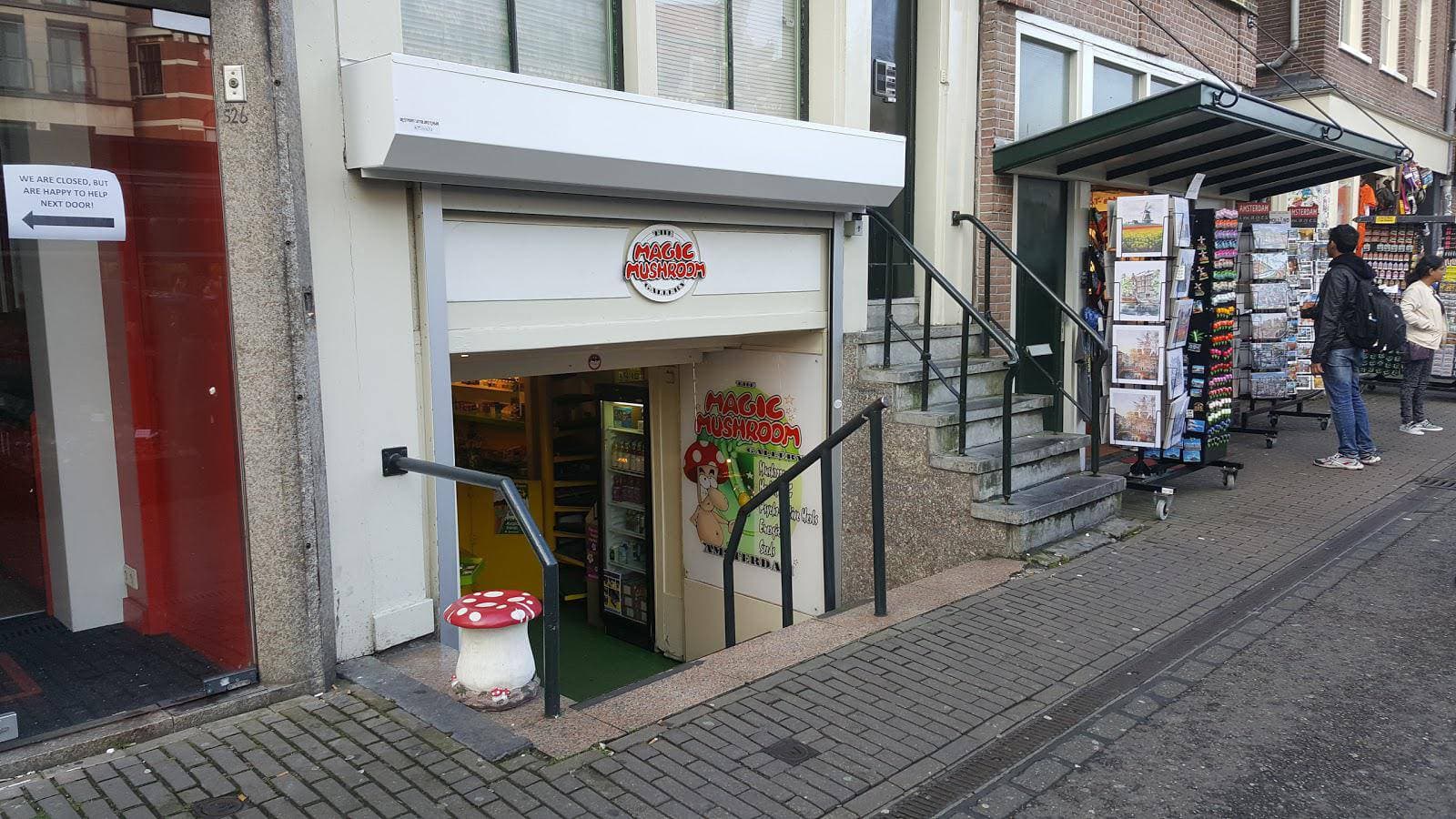 The Magic Mushroom Gallery - Foto 1