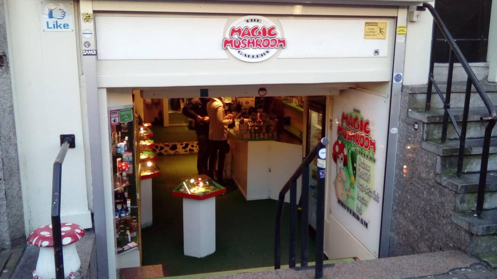 The Magic Mushroom Gallery - Foto 3