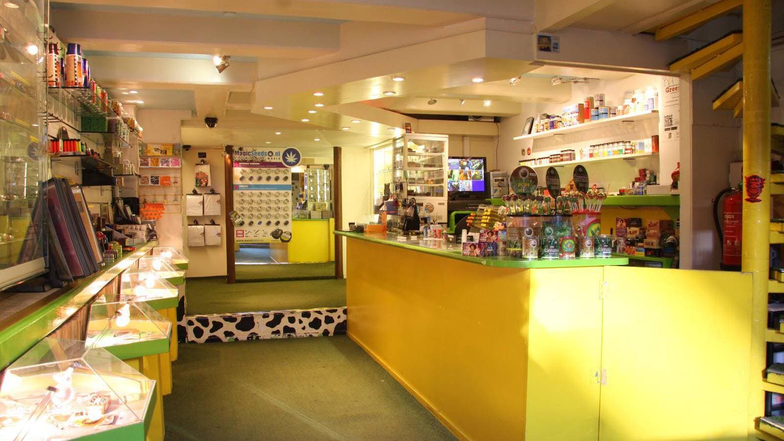 The Magic Mushroom Gallery - Foto 4