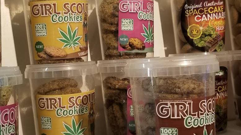 The Magic Mushroom Gallery - Hoofdfoto